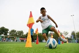 这就是杨鸣的个人魅力！揽责不甩锅