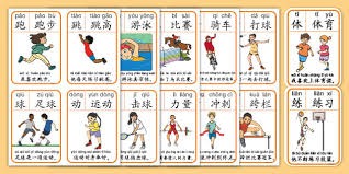 葡萄牙主帅：不会给C罗特殊待遇，英格兰是世界杯夺冠热门