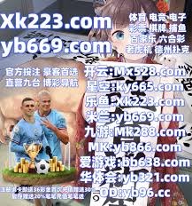 流精英中卫