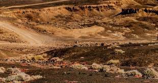 半场-西海岸3-1梅州 比乌奎尔双响阿兰助攻